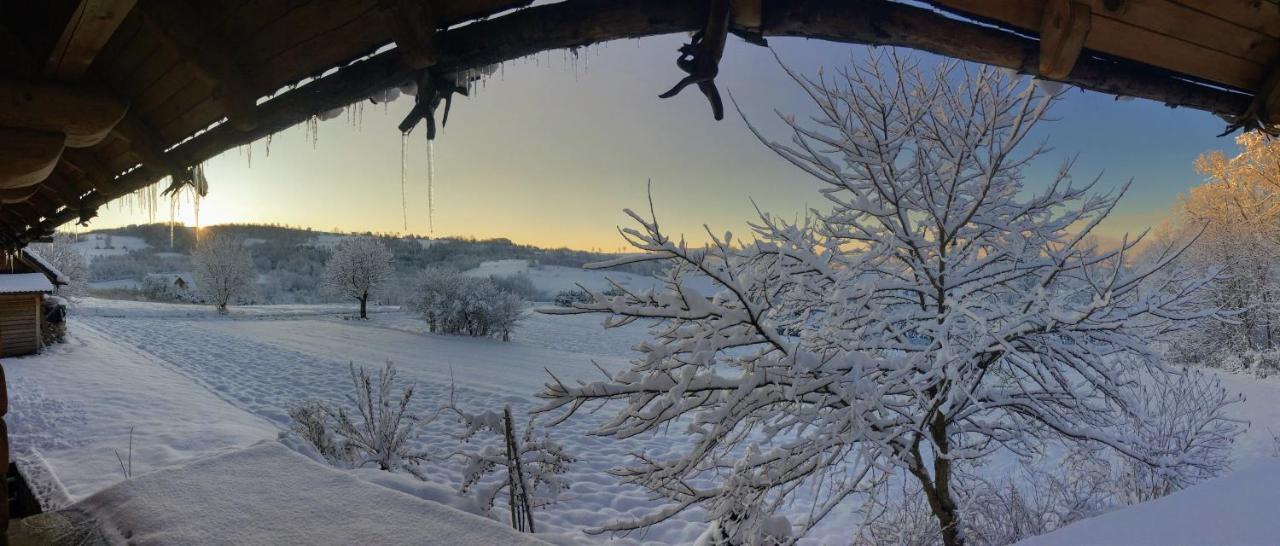 Moja Chata Do Wynajecia Istebna Dış mekan fotoğraf