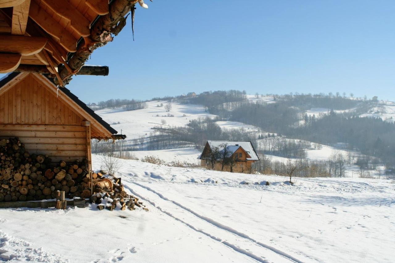 Moja Chata Do Wynajecia Istebna Dış mekan fotoğraf