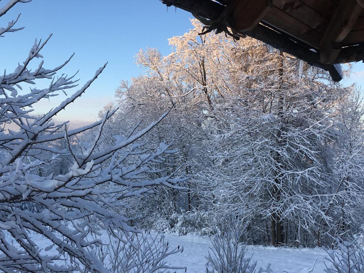 Moja Chata Do Wynajecia Istebna Dış mekan fotoğraf